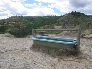 Troughs Fed from Spring